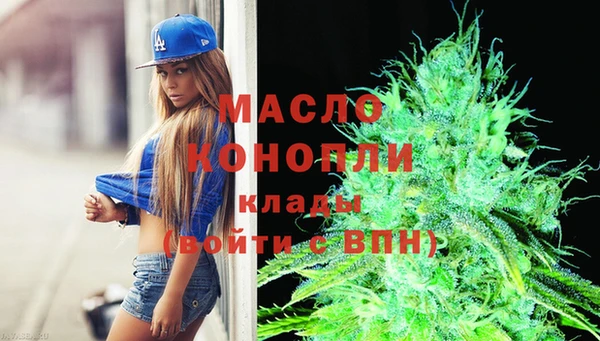 сатива Няндома
