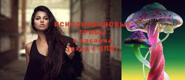 сатива Няндома