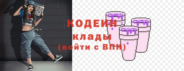 сатива Няндома