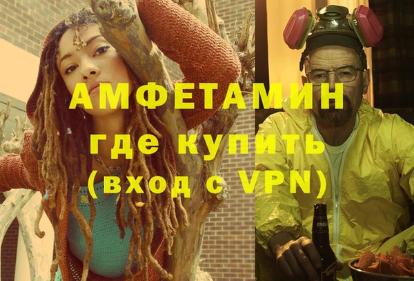 сатива Няндома