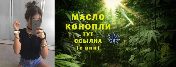 сатива Няндома