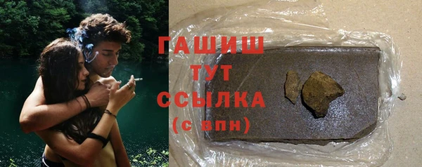 сатива Няндома