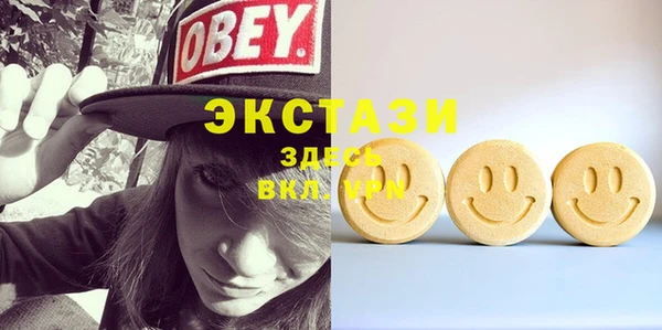 сатива Няндома
