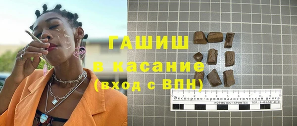 сатива Няндома