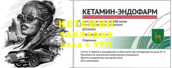 сатива Няндома