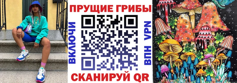 Купить где  Кирово-Чепецк  Псилоцибиновые грибы Magic Shrooms 